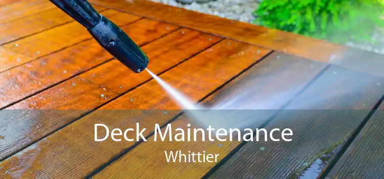 Deck Maintenance Whittier